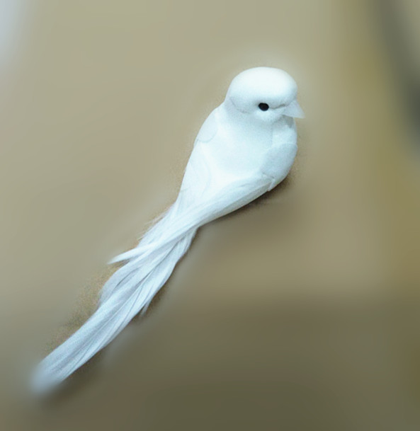 仿真白色小白鸟小白鸽磁铁小鸟冰箱贴摆件羽毛小鸟摆件饰品