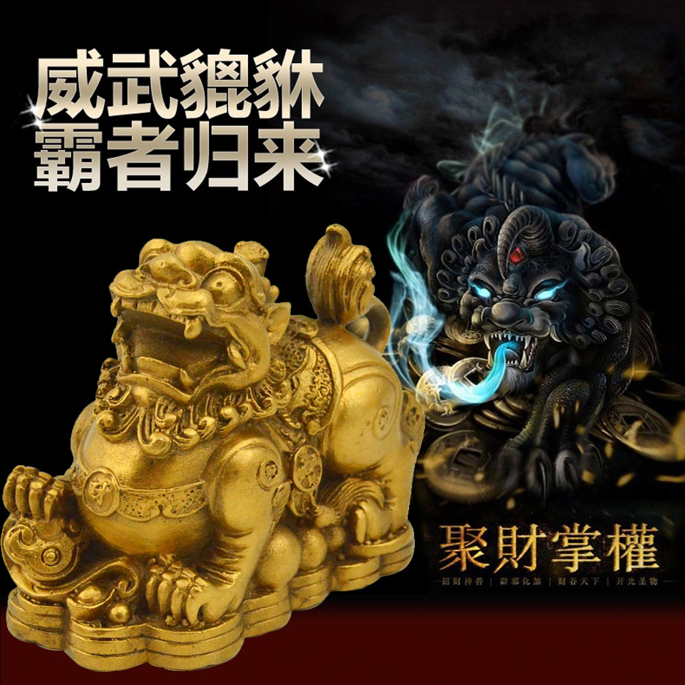 开光风水纯铜貔貅摆件金钱貔貅聚财镇宅招财神兽 一对皮休h7141