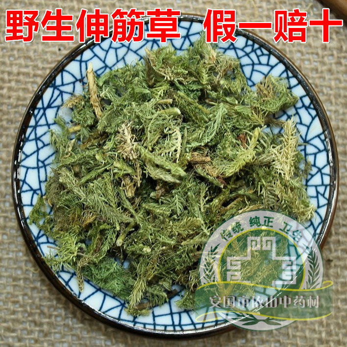 中药材野生伸筋草 筋骨草 搭配益智仁远志三宝茶 透骨草泡脚500克