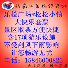 电子票加V惊 哈尔滨旅游门票松松小镇门票一大一小大快乐小小孩50
