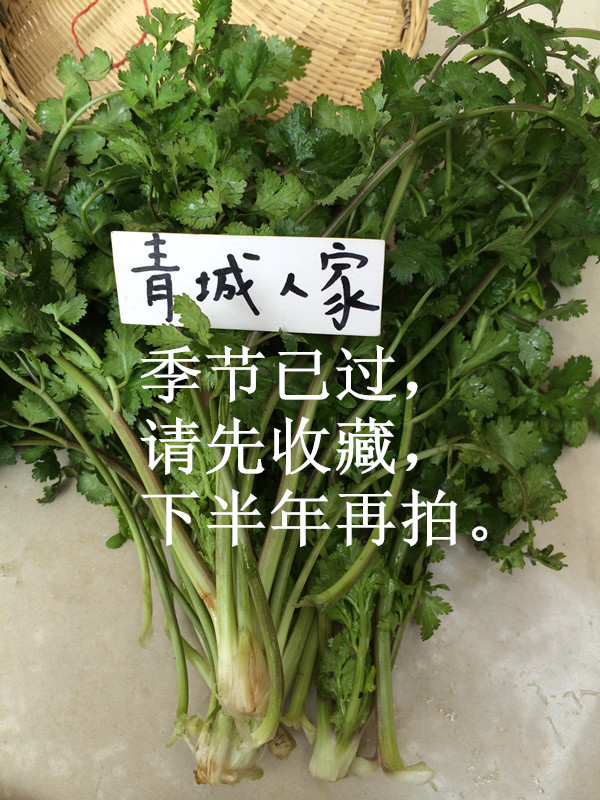 四川青城绿色蔬菜鲜嫩香菜芫荽香荽胡荽盐荽延荽漫天星盐须调香料