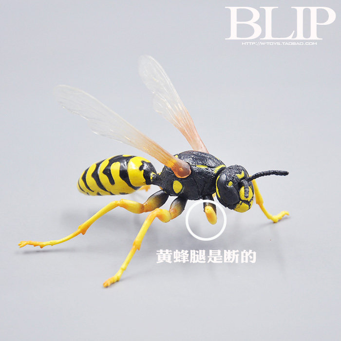 美国正品blip toys 昆虫动物模型 马蜂/胡蜂/大黄蜂