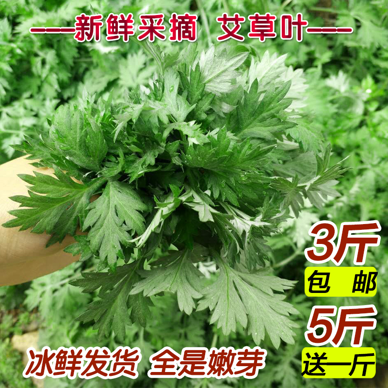 新鲜艾叶艾草新鲜艾草糍粑艾米果野生鲜艾叶清明果青团食用野菜