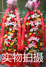 温州鲜花店三脚架开业乔迁庆典花篮发财树瑞安鹿城区乐清柳市