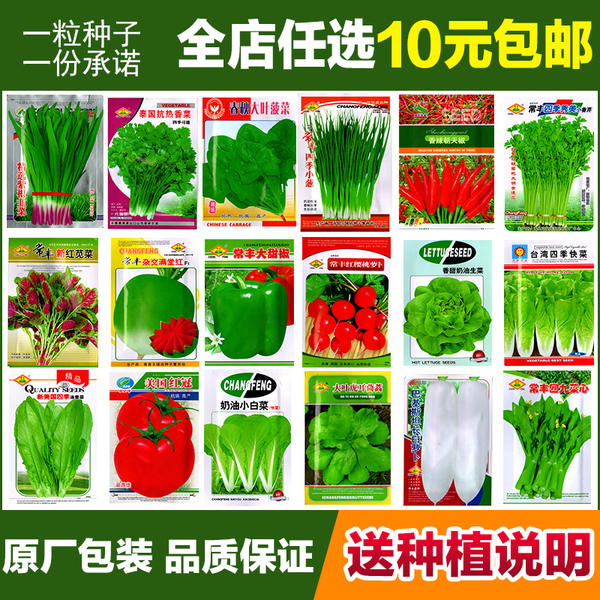 热销园艺_ 蔬菜种子四季播阳台种菜庭院秋冬萝卜套餐盆栽菠菜小葱香菜