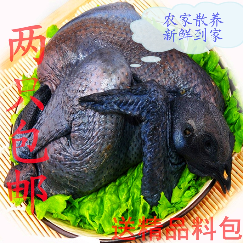 果果生鲜 新鲜乌鸡 农家散养现杀乌骨鸡肉1100g土鸡柴鸡