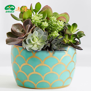 【特价】叶片 海尔小状元空调外机风扇 扇叶 叶