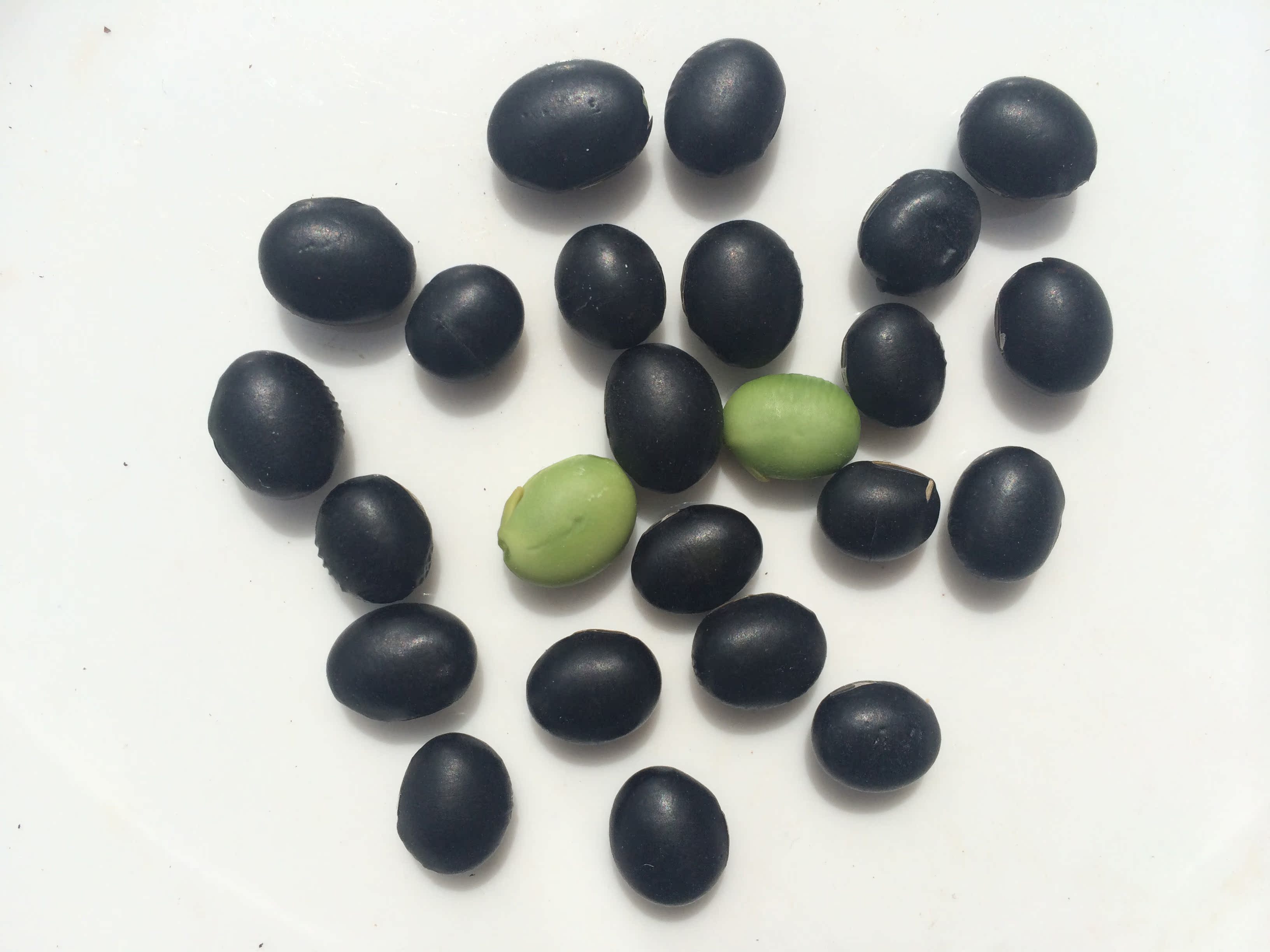 太行山绿芯黑豆 农家黑豆 大黑豆青仁黑豆非转基因250g