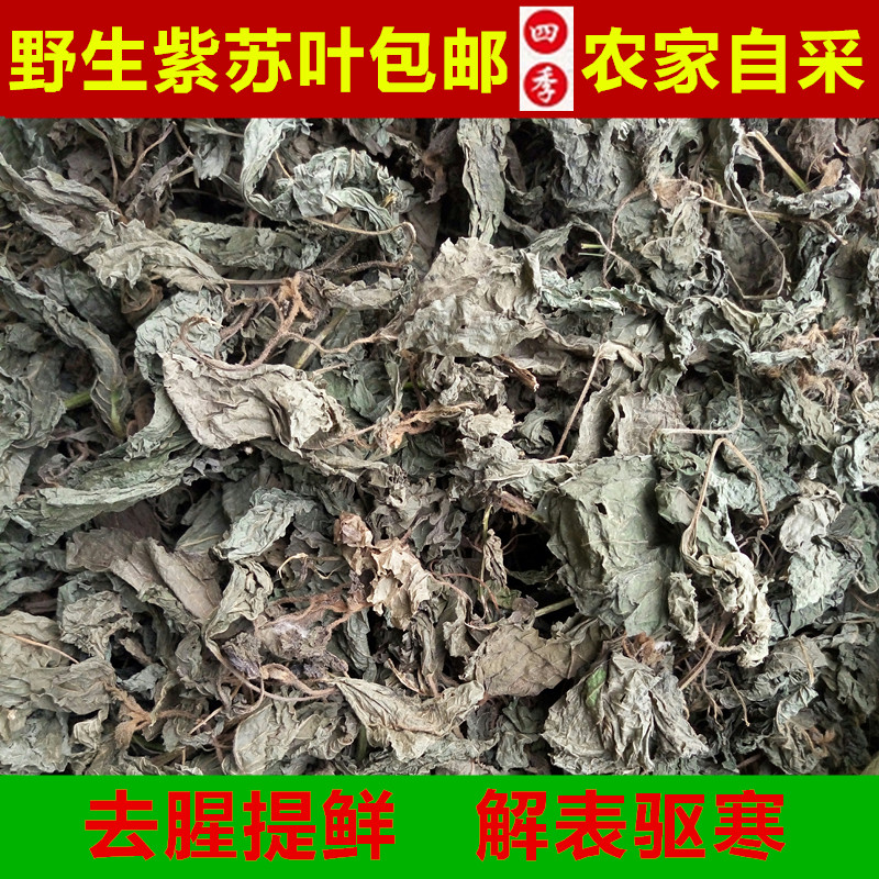 紫苏叶精选苏子叶干苏子叶 纯正干紫苏叶紫苏茶500克包邮