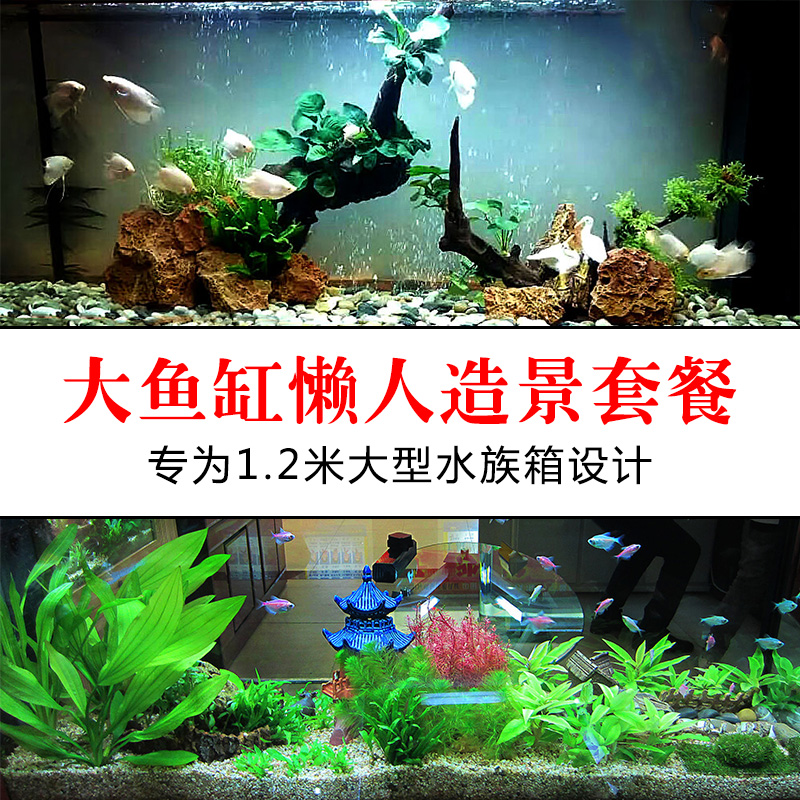 鱼缸装饰底砂净水五彩石子水族箱造景石头摆件天然海蓝色彩色石头