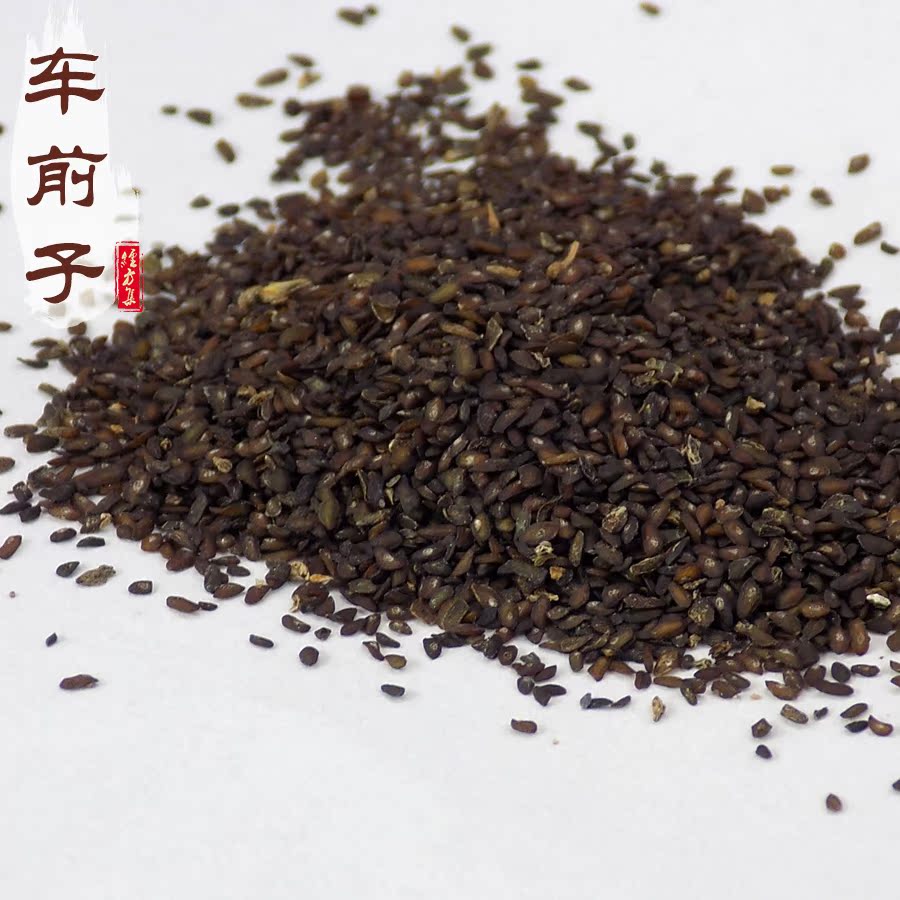 车前子250g 中药材前子【经方集药材工坊】