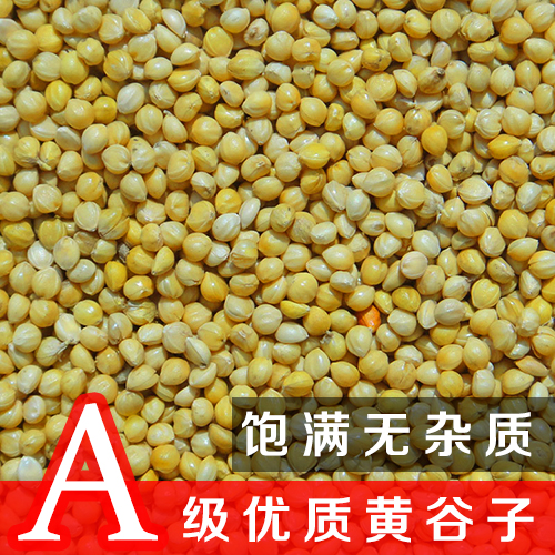 带壳大颗粒小米谷子/虎皮牡丹玄凤/文鸟/鸟食/鸟粮鸟饲料5斤包邮