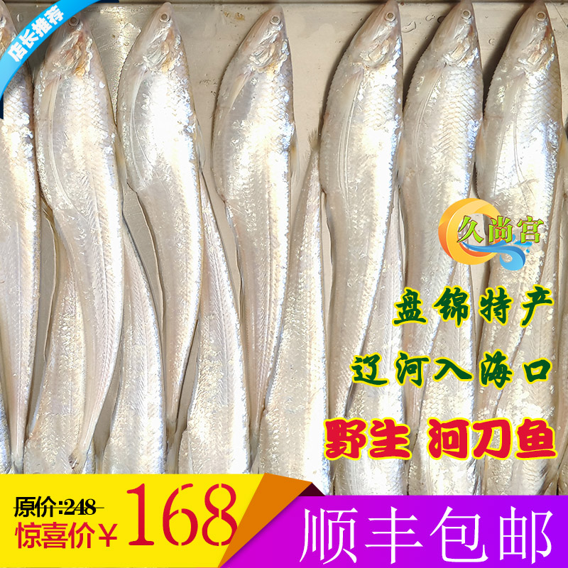 盘锦河刀 盘锦特色辽河野生河刀鱼 单冻不挂冰长江刀鱼的同类品种