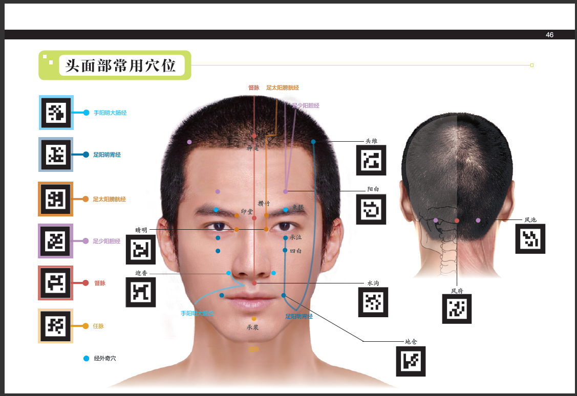 3d女性经络穴位图册 3d人体反射区女性经络穴位高清图册 穴位大图说