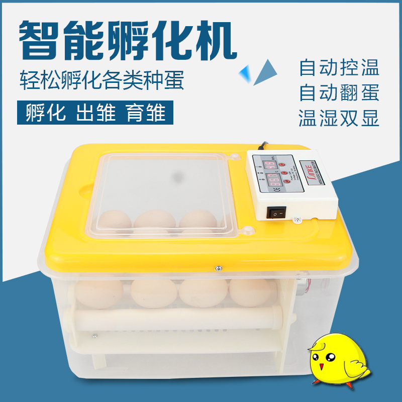 查看淘宝中信孵化机全自动家用型小鸡小型鸟蛋孵化器水床孵蛋器鸽子