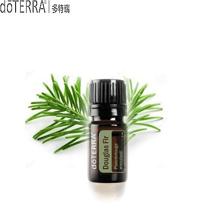 美国多特瑞道/格拉斯冷杉(黄杉)精油5ml 熏香呼吸顺畅