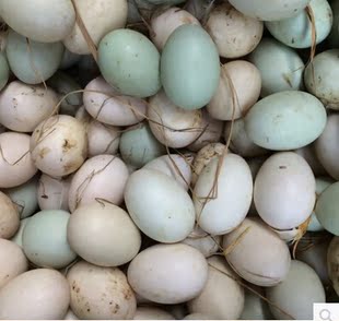 苏北沭阳沂河边散养鸭子 鸭蛋 土鸭蛋 生鸭蛋 草鸭蛋500g