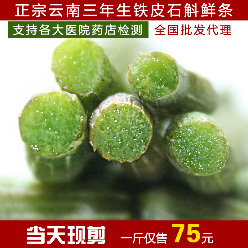 霍山铁皮石斛鲜条三年生石斛新鲜仿野生铁皮滋补枫斗非乐清雁荡山
