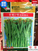 菜心种子连州菜心种子多芯连州迟菜心种子丰裕2号家庭阳台四季播