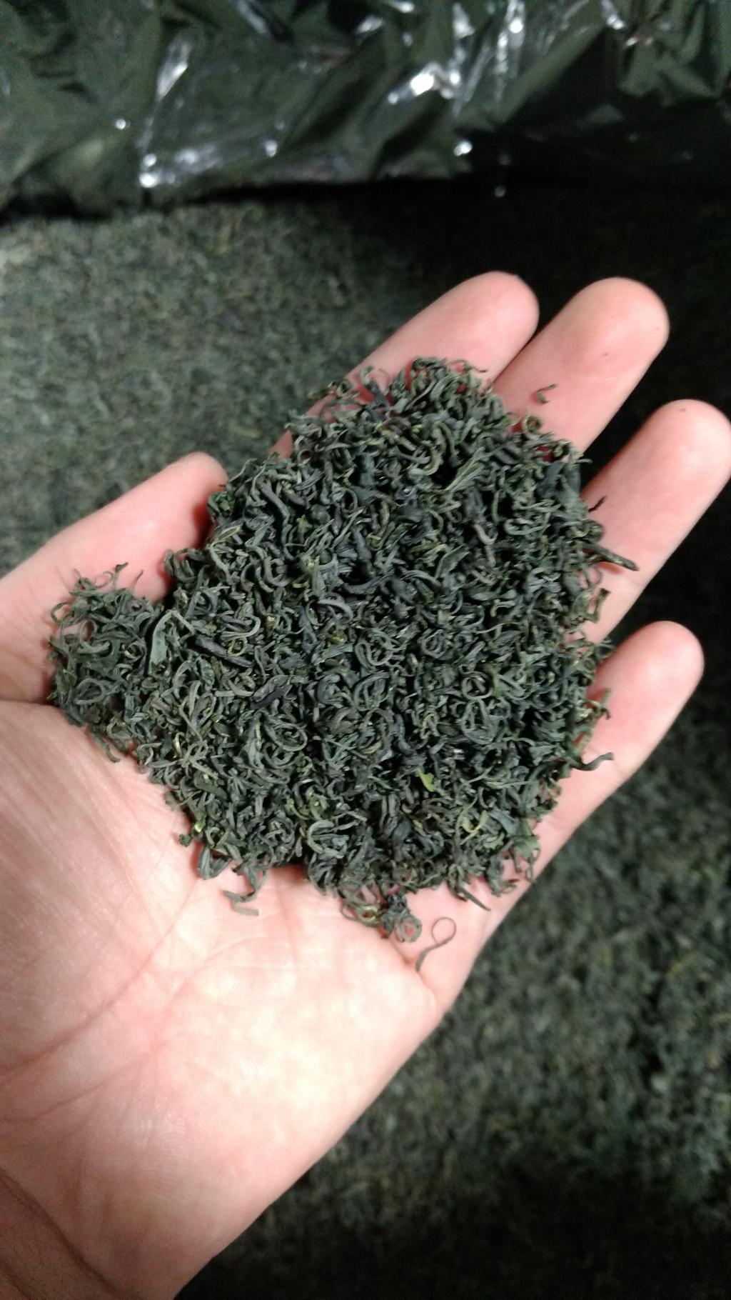 绿茶好评如潮2016包装浙江省250g袋装中国大陆庐山云雾