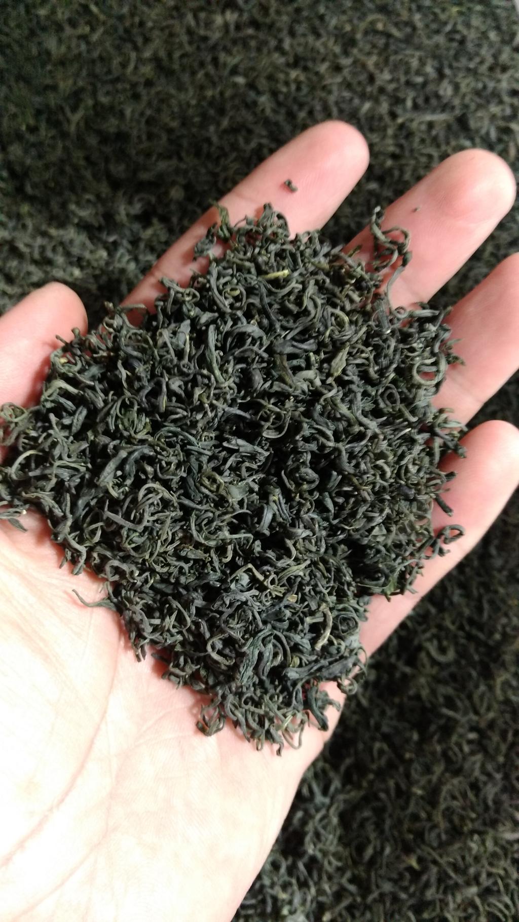 绿茶浙江正品250g庐山云雾