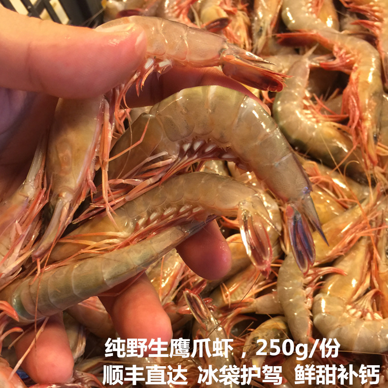 东海海虾鲜活新鲜滑皮虾厚皮虾鹰爪虾3斤免邮250g一份 海鲜水产