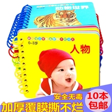 儿童学习看图启蒙认知书益智识字卡0 3岁 撕不烂早教卡片宝宝玩具