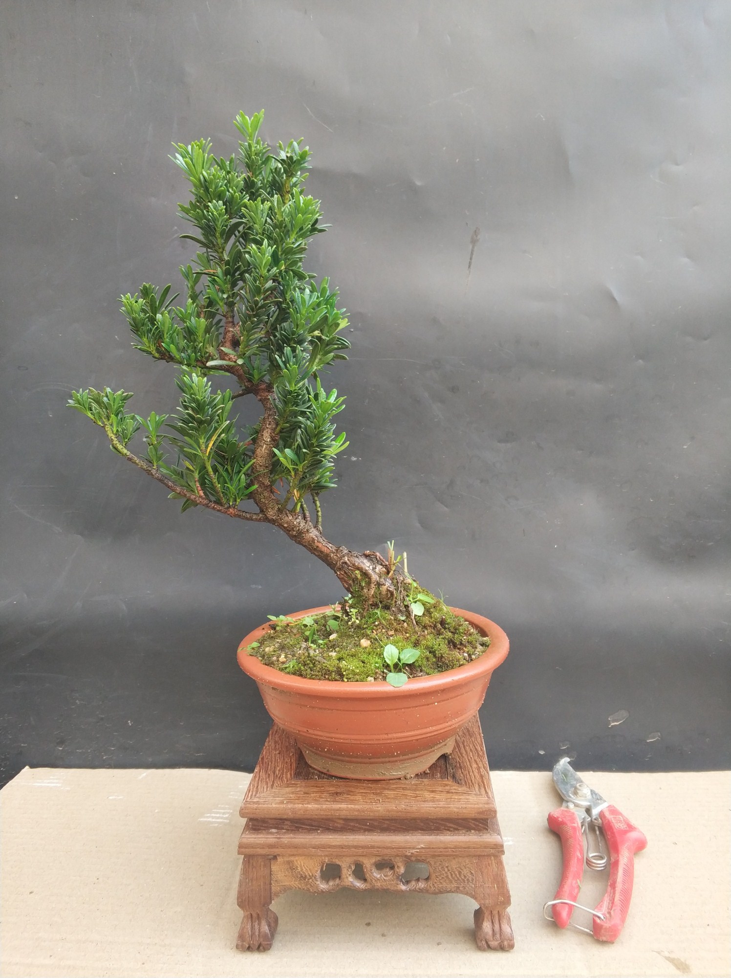 推荐最新小品新房演员 蔡明小品新房演员信息