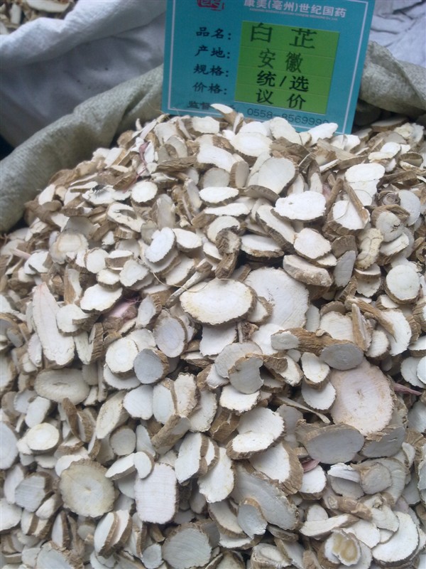 中药材批发 白芷 白芷片 白芷粉 500克
