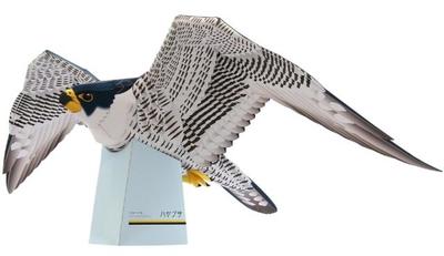 立体折纸手工制作模型剪纸 仿真野生保护鸟类 老鹰 雕 3d纸模