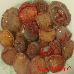 ׯӺز ʻ  ʺ Ӫζ500
