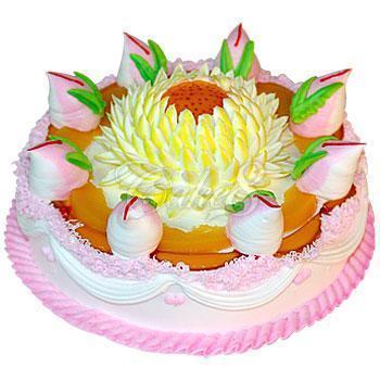 推荐最新南昌 点读笔 南昌苹果售后维修点信息