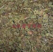 中药材 连钱草500克透骨消  连钱草 遍地香铜钱草 透骨风