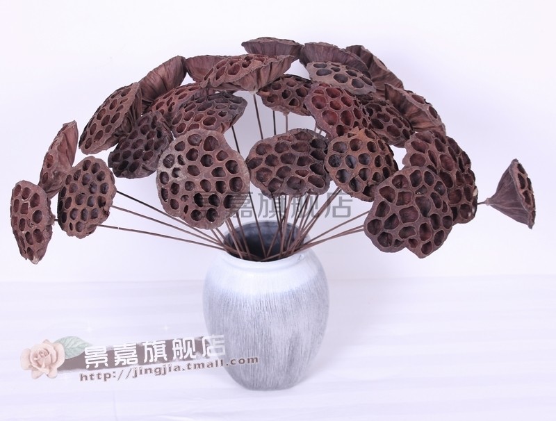 天然干花装饰插花客厅餐桌阳台花艺拍摄道具 莲蓬龙柳枝杆