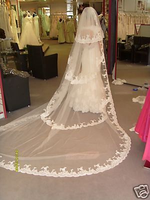 [年会价钱] 韩式新娘头纱蕾丝花边3米5米10米拖尾超长拖地新款结婚纱