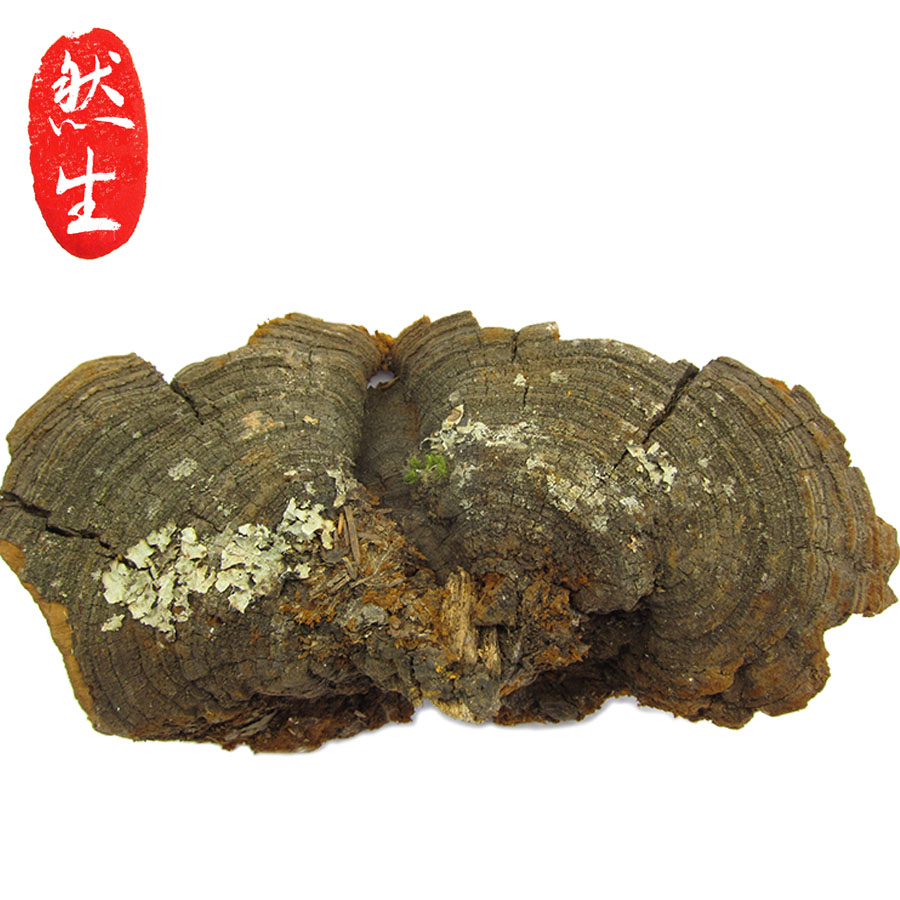 然生云南野生松针灵芝松针层孔菌野生灵芝可切灵芝片250g