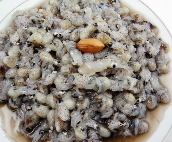 海之沃 糯绵香鲜 鱿鱼 墨斗鱼 吃了就是爽的海鲜 乌鱼豆