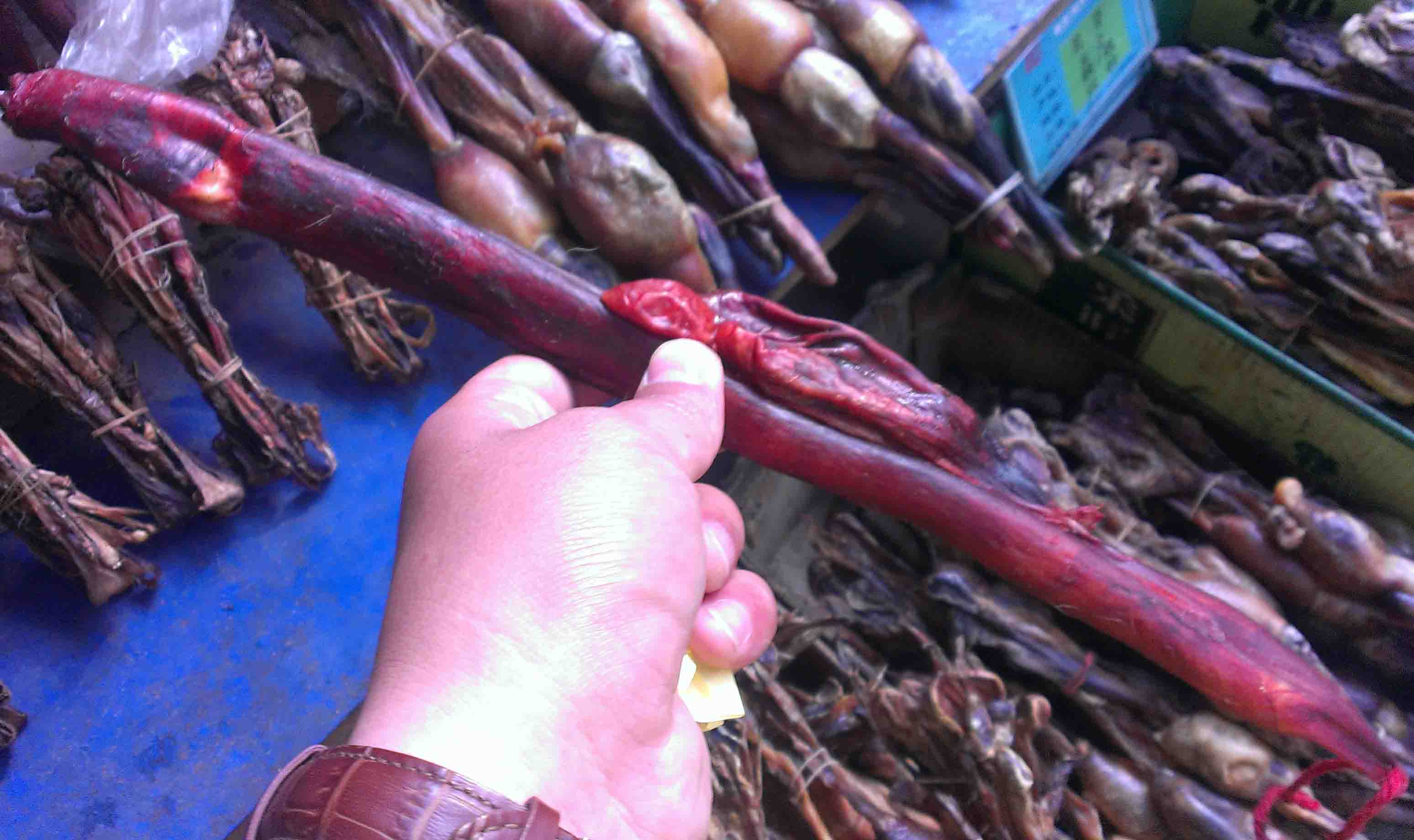牛鞭黄牛牛鞭带睾丸“真”男人不选整条牛鞭限地区包邮