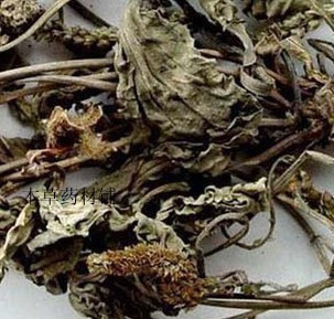 2016新货 中药材批发 车前草 车轮菜 车前草茶500克10元