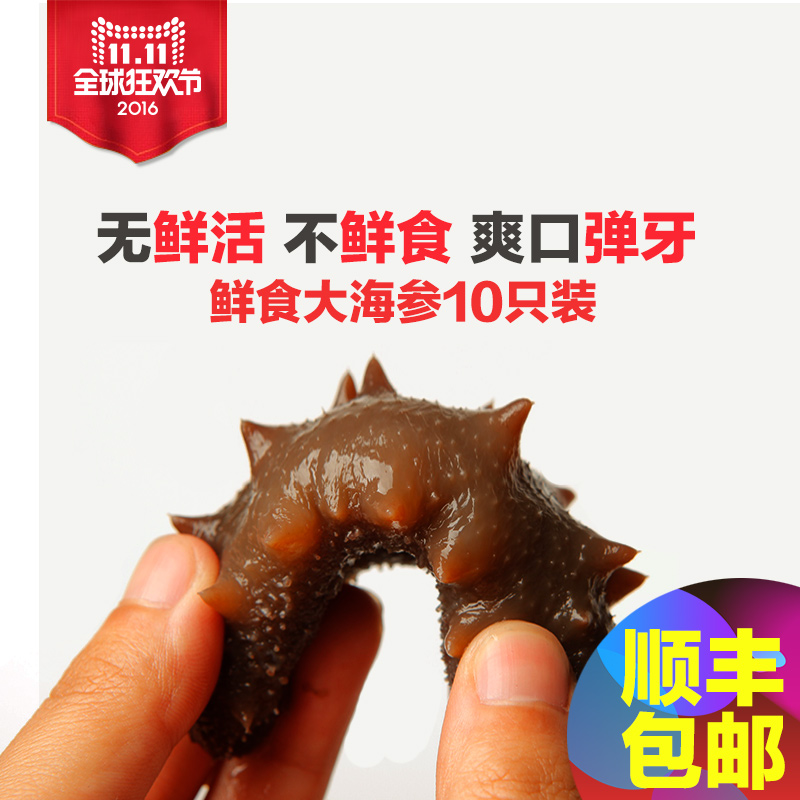 鑫玉龙 即食海参礼盒四排刺新鲜野生刺参免发纯正辽参鲜海参 即食