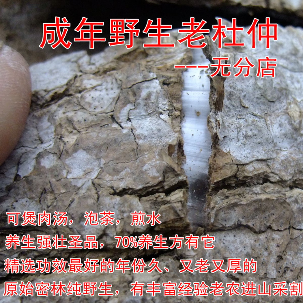 2件包邮 井冈山野生杜仲 特级无污染杜仲皮 泡酒泡茶补腰
