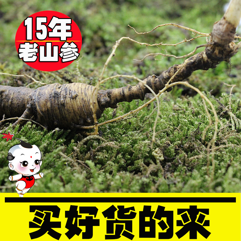 正宗人参 山参礼盒 林下参 野山参礼盒 东北长白山野生鲜山参包邮