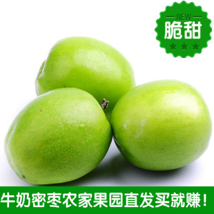 大青枣牛奶枣蜜枣苹果枣新鲜水果枣子贵妃枣5斤特价大枣