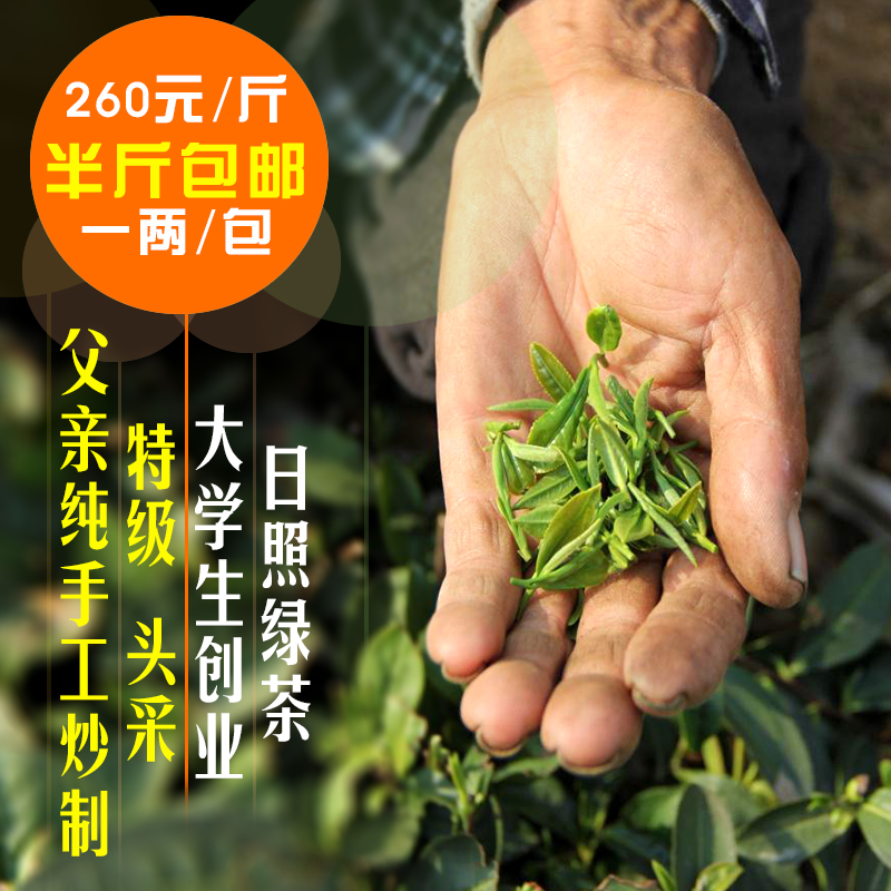 天然日照绿茶特级散装2016年新茶茶叶春茶自产自销无公害包邮