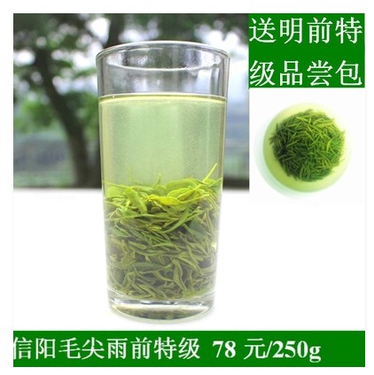 信阳毛尖2016新茶绿茶茶叶散装春茶高山嫩芽自产自销雨前特级