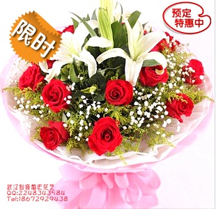 推荐最新武昌宏基汽车站 武昌宏基汽车站官网