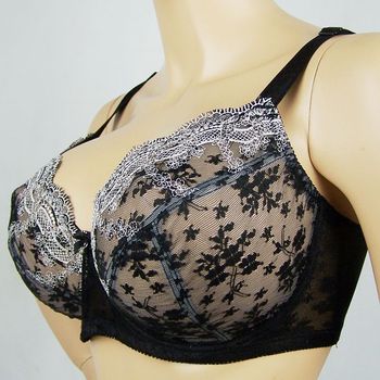 <em>外贸</em>欧<em>单</em>超薄性感大码大罩杯透明黑色蕾丝女文