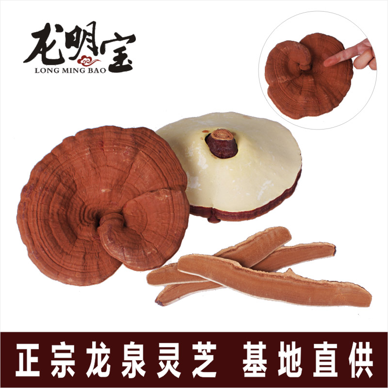 龙明宝正宗浙江龙泉灵芝剪脚带粉厚芝新品特级新采收500克