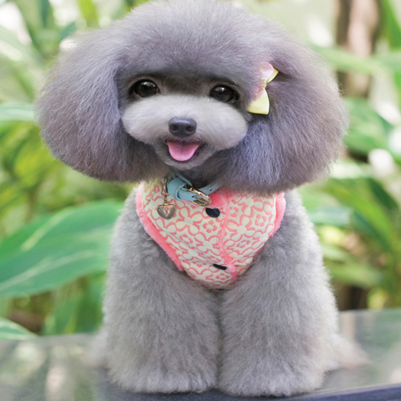 正品[新春促销广告语]迎新春促销广告语评测 手