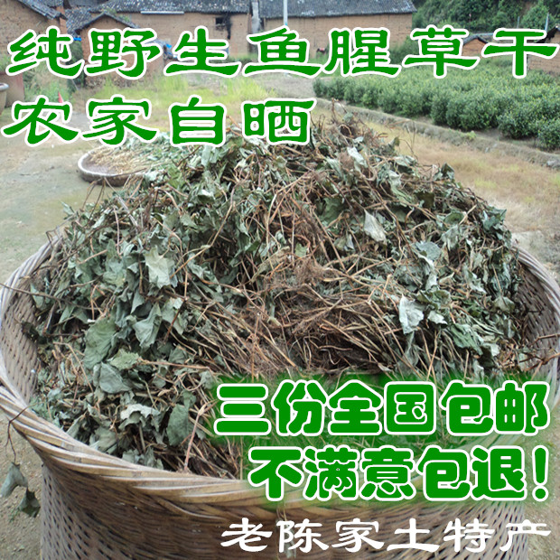 鱼腥茶野生鱼腥草干折耳根野生农家自晒中药材办公必备鱼腥草的夏
